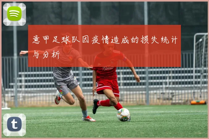 意甲足球队因疫情造成的损失统计与分析