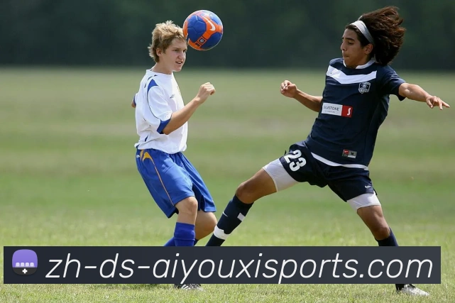 爱游戏体育APP 封面图