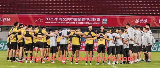 爱游戏体育官网-西甲18-19赛季全部比赛赛果统计与赛程分析